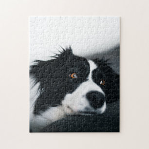 Beliebtes Hunddesign-Geschenk Puzzle