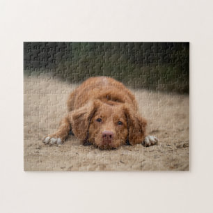 Beliebtes Hunddesign-Geschenk Puzzle