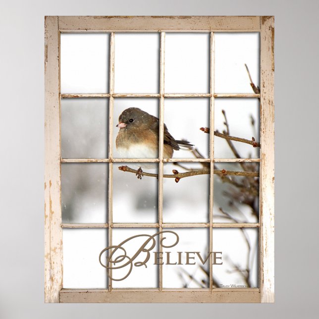 BELIEVE POSTER - GEBURT DURCH FENSTER (Vorne)