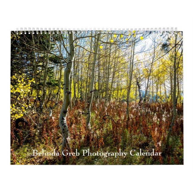 Belinda Greb Fotografy Calendar Kalender (Titelbild)