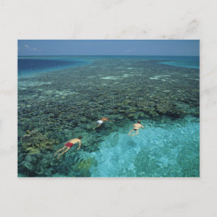 Belize, Barrier Reef, Lighthouse Reef, Blau Postkarte