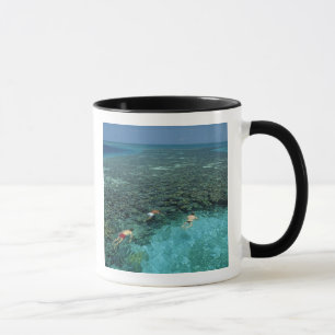 Belize, Barrier Reef, Lighthouse Reef, Blau Tasse