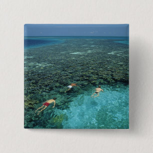 Belize, Barrier-Riff, Lighthouse Reef, Blau Button