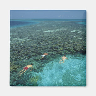 Belize, Barrier-Riff, Lighthouse Reef, Blau Magnet