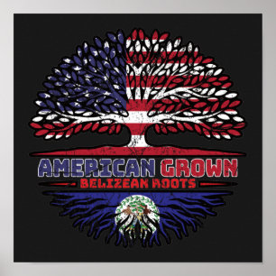 Belize Belizean US American USA United States Tree Poster