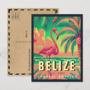Belize Central America Vintag Tropical 1950s Postkarte