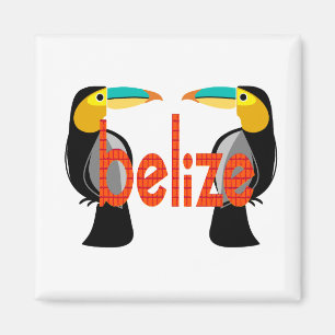Belize es jetzt magnet