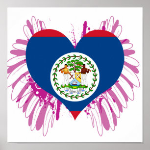 Belize Flag kaufen Poster
