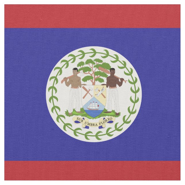 Belize-Flagge Stoff (Nahaufnahme)