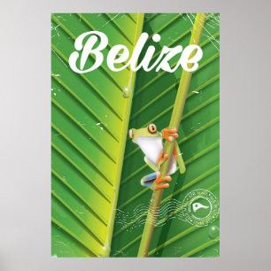 Belize Frog Vintag Cartoon Reiseplakat Poster
