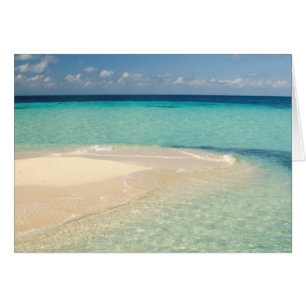 Belize, Karibisches Meer. Goff Caye, eine kleine I
