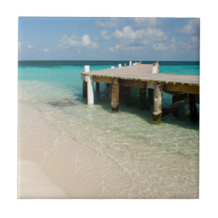 Belize, Karibisches Meer, Goff Caye. Eine kleine I Fliese