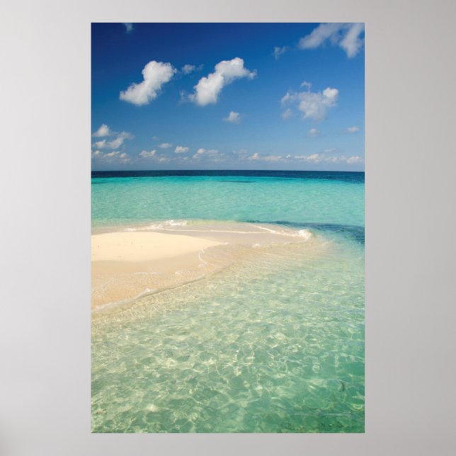 Belize, Karibisches Meer. Goff Caye, eine kleine I Poster (Vorne)
