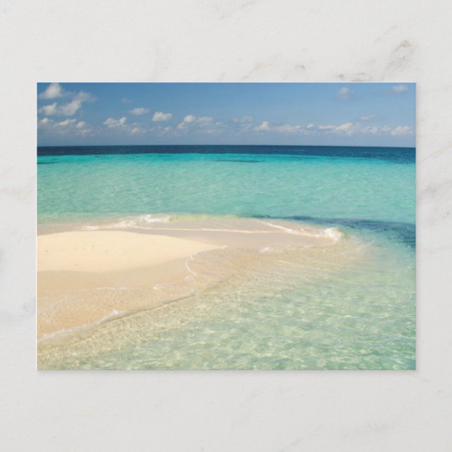 Belize, Karibisches Meer. Goff Caye, eine kleine I Postkarte (Vorderseite)