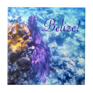 Belize! Lila Seefan-Fliese Fliese