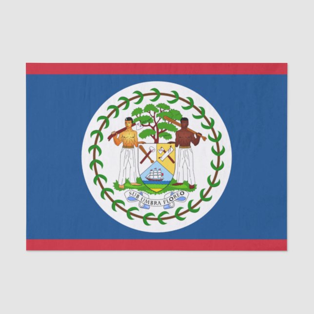 Belize Mode Dekor, Belize Flagge Tissue-Papier Seidenpapier (Vorderseite)