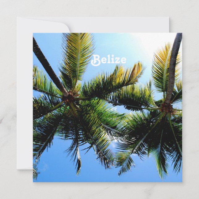 Belize Palm Trees (Vorderseite)