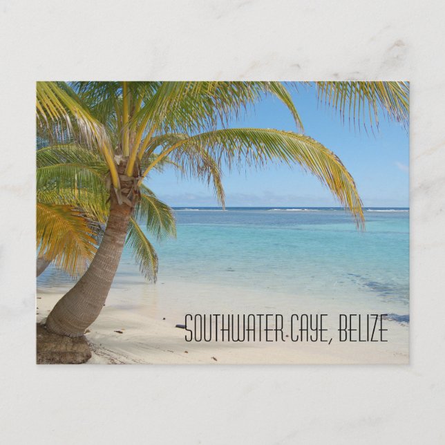 Belize Palmen und Karibik Meer Landschaft Postkarte (Vorderseite)