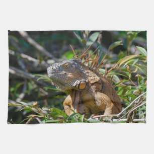 Belize-Tierwelt: Orange Iguana-Echsen-Fotografie Geschirrtuch