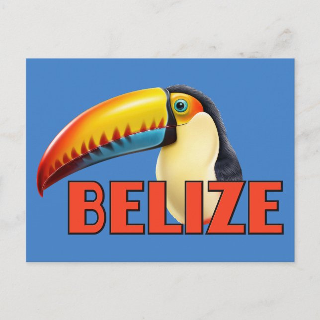 BELIZE Toucan Postkarte (Vorderseite)