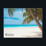 Belize Tropical Beach Palm Tree Ambergris Caye Postkarte<br><div class="desc">Jeder würde Liebe, diese tropische Postkarte mit einem wunderschönen Foto einer Palme, dem Strand und dem Ozean in San Pedro in Ambergris Caye, Belize zu erhalten!</div>