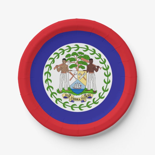 Belizische Flagge Pappteller (Vorderseite)