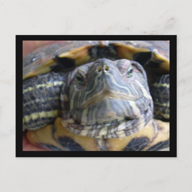 Belka nah postkarte (Vorderseite)