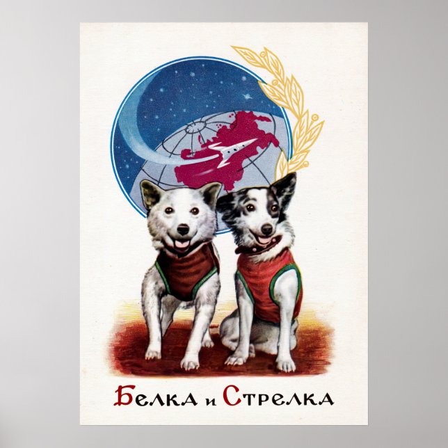 Belka und Strelka, Weltraumhunde — sowjetisches Po Poster (Vorne)