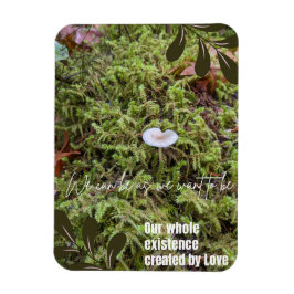 Belknap Mushroom mit Angebot Magnet