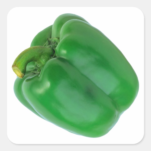 BELL PEPPER (GRÜNE) QUADRATISCHER AUFKLEBER (Vorderseite)