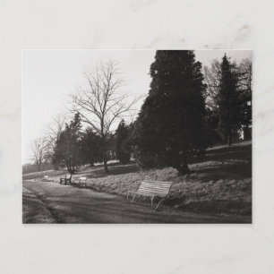 Bell Vue Park, Newport, Mon Postkarte
