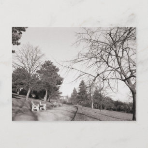 Bell Vue Park, Newport, Mon Postkarte