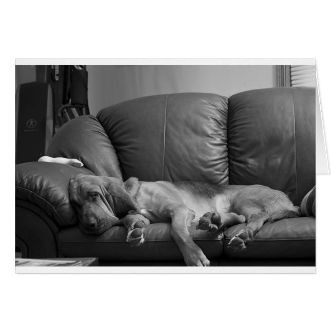 Bella (Vorderseite (Horizontal))