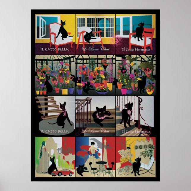 Bella: Das schöne Katze-Poster 18"x24" Poster (Vorne)