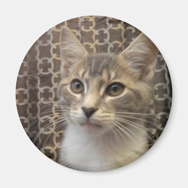 Bella Magnet (Vorne)