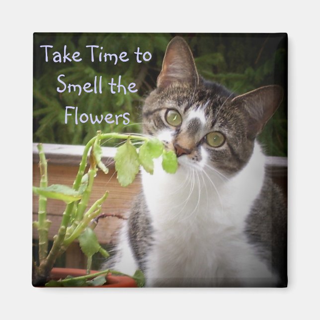 ‚BELLA‘ MAGNET (Vorne)