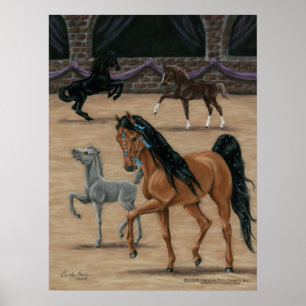 Bella Sara Jewel Art Print von Cindy Price McMurra Poster