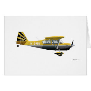 Bellanca SuperDecathlon