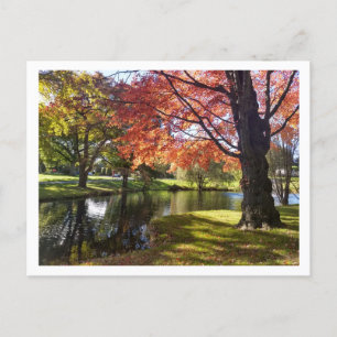 Bellarmine Pond, Fairfield University Postcard  Postkarte