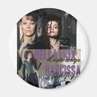 Bellatrix Lestrange und Narcissa Malfoy Magnet