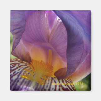 Belle-Abweichung Magnet