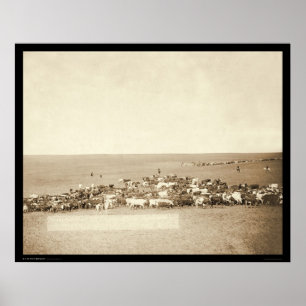 Belle Fouche Cowboy Round-Up SD 1887 Poster