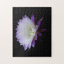 Belle of the Ball night bloomer Puzzle