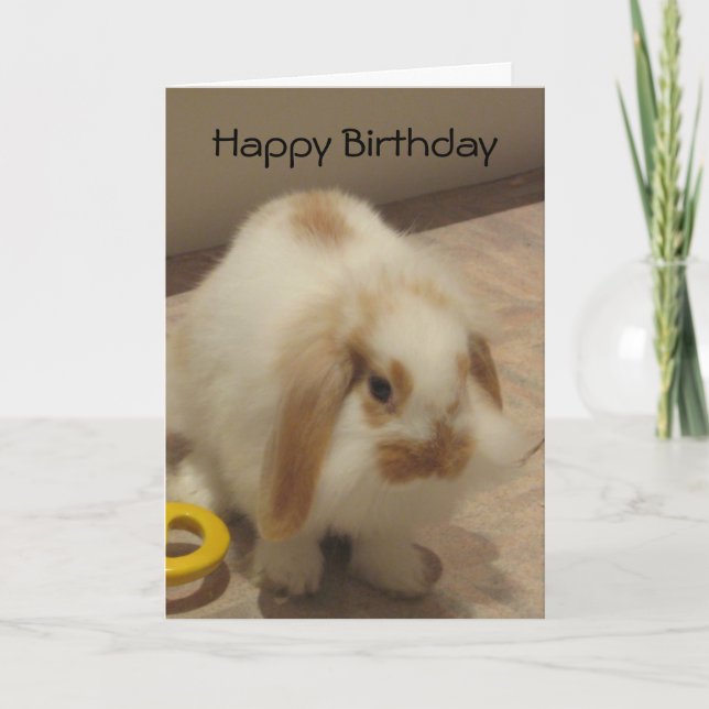 Belle The Rabbit Birthday Card Karte (Vorderseite)