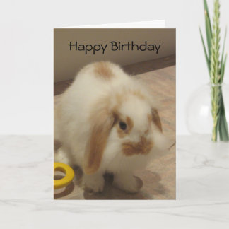 Belle The Rabbit Birthday Card Karte
