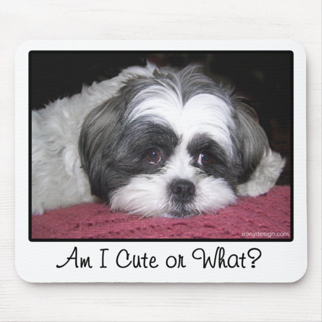 Belle The Shih Tzu Dog Mousepad (Vorne)