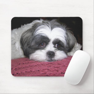 Belle The Shih Tzu Mousepad