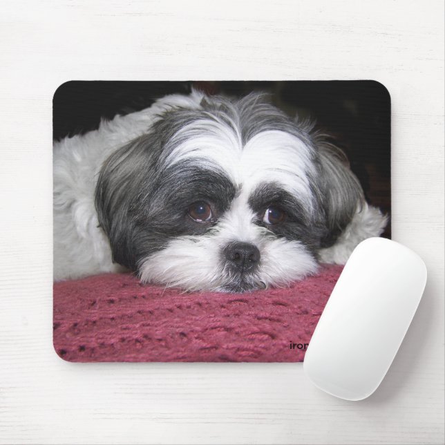 Belle The Shih Tzu Mousepad (Mit Mouse)