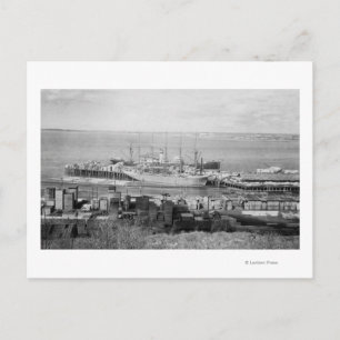 Bellingham, WA Docks View Lumberschiffe Postkarte