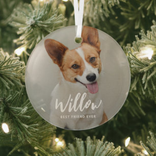 Beloved Caption Personalisiertes Foto Ornament